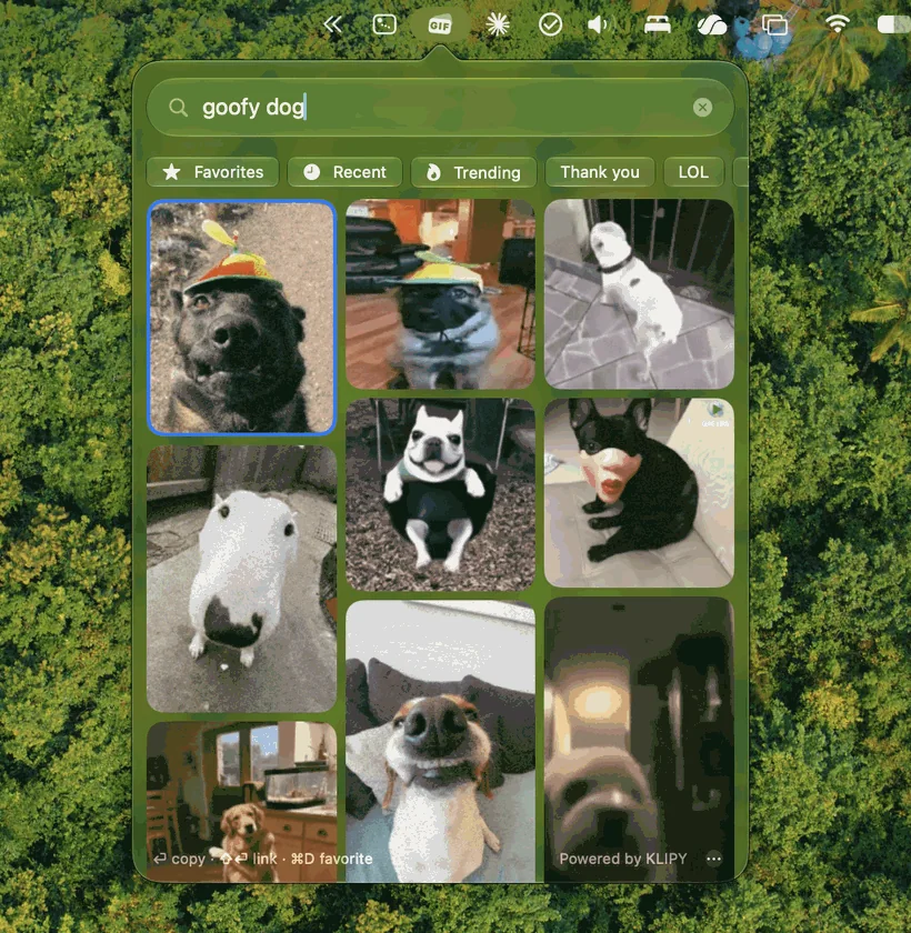 Snicker's glass popover open from the menu bar over a green desktop wallpaper, showing dog GIFs for the search goofy dog.